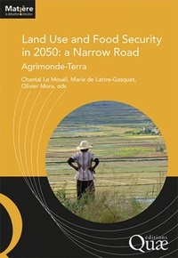 Chantal Le Mouël et Marie de Lattre-Gasquet - Land Use and Food Security in 2050: a Narrow Road - Agrimonde-Terra.