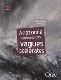 Michel Olagnon et Janette Kerr - Anatomie curieuse des vagues scélérates.
