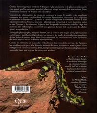 Salamandres, tritons & Cie