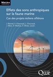 Julien Bonnel et Sylvain Chauvaud - Effets des sons anthropiques sur la faune marine - Cas des projets éoliens offshore.