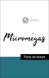  Voltaire - Analyse de l'œuvre : Micromégas (résumé et fiche de lecture plébiscités par les enseignants sur fichedelecture.fr).