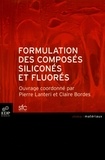Pierre Lanteri et Claire Bordes - Formulation des composés siliconés et fluorés.