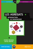 Patrice Melinon et Michel Broyer - Les agrégats - Introduction au nanomonde.