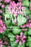 Peter Rice - Edgar Cayce. Philosophie Et Recettes Psychiques.