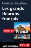  Collectif - GUIDE DE VOYAGE  : Itinéraire de rêve en France - Les grands fleurons français.