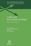 Marthe Fatin-Rouge Stéfanini et Laurence Gay - L'efficacité de la norme juridique - Nouveau vecteur de légitimité ?.
