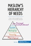 Pierre Pichère et Anne-Christine Cadiat - Maslow's Hierarchy of Needs - Understand the true foundations of human motivation.