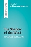 Summaries Bright - BrightSummaries.com  : The Shadow of the Wind by Carlos Ruiz Zafón (Book Analysis) - Detailed Summary, Analysis and Reading Guide.