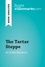 Summaries Bright - BrightSummaries.com  : The Tartar Steppe by Dino Buzzati (Book Analysis) - Detailed Summary, Analysis and Reading Guide.