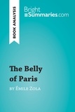 Summaries Bright - BrightSummaries.com  : The Belly of Paris by Émile Zola (Book Analysis) - Detailed Summary, Analysis and Reading Guide.