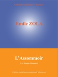 Emile Zola - L'Assommoir - Les Rougon-Macquart (7/20).