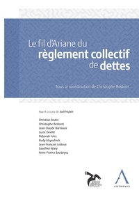 Christophe Bedoret - Le fil d'Ariane du règlement collectif de dettes.