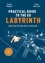 Daniel Guéguen et Vicky Marissen - The practical guide to the EU labyrinth - Understand everything about EU institutions!.