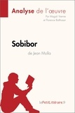  lePetitLitteraire et Vienne Magali - Fiche de lecture  : Sobibor de Jean Molla (Analyse de l'oeuvre) - Analyse complète et résumé détaillé de l'oeuvre.