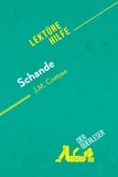 Querleser Der - Lektürehilfe  : Schande von J.M. Coetzee (Lektürehilfe) - Detaillierte Zusammenfassung, Personenanalyse und Interpretation.
