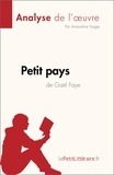 Amandine Farges - Petit pays de Gaël Faye.
