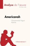 Aalto Maria - Americanah de Chimamanda Ngozi Adichie (Analyse de l'oeuvre) - Résumé complet et analyse détaillée de l'oeuvre.