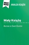 Pierre Weber et Kâmil Kowalski - Mały Książę książka Antoine de Saint-Exupéry (Analiza książki) - Pełna analiza i szczegółowe podsumowanie pracy.
