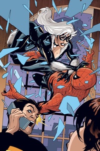 Spider-Man/Black Cat. L'enfer de la violence