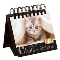  Play Bac - 365 jours Chats et chatons.