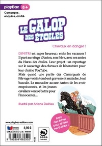 Le galop des étoiles Tome 10 Chevaux en danger