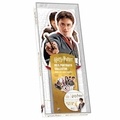  Wizarding World - Mes portraits collector Harry Potter - Avec des quiz inédits, des scènes à colorier et 3 planches de stickers.