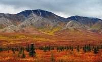 Les parcs nationaux américains. Alaska, Northern & Eastern USA