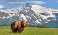 Les parcs nationaux américains. Alaska, Northern & Eastern USA