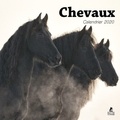  Collectif - Calendrier chevaux.
