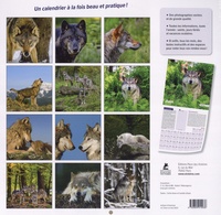 Calendrier loups  Edition 2024
