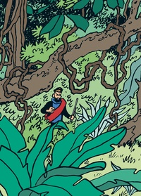 Tintin c'est l'aventure N° 7 La jungle