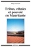 Philippe Marchesin - Tribus, ethnies et pouvoir en Mauritanie.