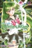 Naoko Takeuchi - Sailor Moon Tome 9 : .