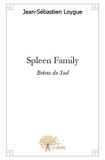 Jean-Sébastien Loygue - Spleen family - Brèves du sud....