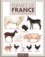 Grégoire Baltique et Fadéla Benabadji - Fermes de France - Veaux, vaches, cochons, couvées....