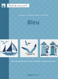 Annick Abrial et Marie-Anne Réthoret-Mélin - Bleu - Des centaines de motifs à broder au point de croix.