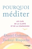 Daniel Goleman et Tsoknyi Rinpoche - Pourquoi méditer - Les clés de la clarté et de la compassion.