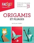 Nicolas Terry - Origamis et pliages.