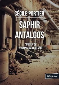 Cécile Portier - Saphir Antalgos, travaux de terrassement du rêve - Le travail du rêve dans la ville et ses signes, quand il interfère avec notre vie parmi les autres..