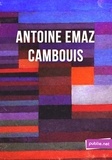 Antoine Emaz - Cambouis - ""c'est mon travail, strictement, c'est-à-dire ce qui a pu passer de vivre en mots"".
