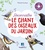 Michel Luchesi - Reconnaître le chant des oiseaux du jardin. 1 CD audio