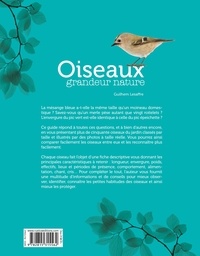 Oiseaux grandeur nature