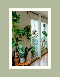 Végétalisez votre intérieur avec Marion Botanical