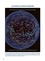  Céleste - Jardinez avec la Lune - En cadeau : votre poster lunaire détachable !.