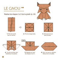 Origami animaux de la savane. 10 modèles originaux + 50 feuilles de papier origami !