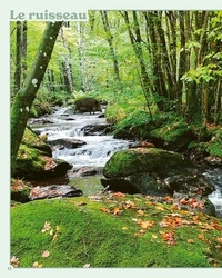 Les animaux de la forêt. Avec 1 poster