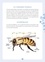 Michel Luchesi et Maud Bihan - Les abeilles - Les reconnaître, les comprendre, les protéger.