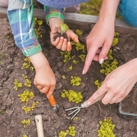 Je fais pousser mes légumes. C'est magique !