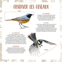 Calendrier Oiseaux grandeur nature  Edition 2024
