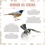 Guilhem Lesaffre - Calendrier Oiseaux grandeur nature.